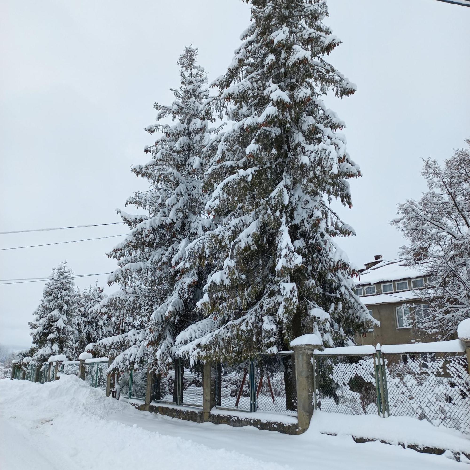 Apartamenty Na Szlaku Czarny Dunajec Extérieur photo